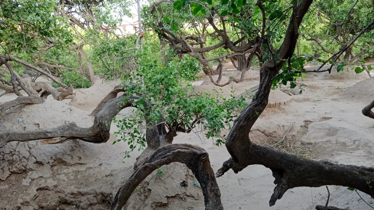 वृंदावन के रहस्यमयी स्थान